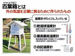 【お題日記】忘れられない言葉ある？