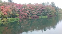 【お題日記】エッチの時驚いたことは？