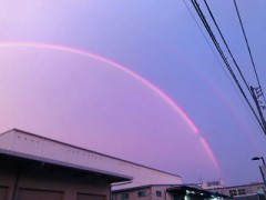 【お題日記】こんな映え写真撮りました