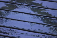 雨の日なりの過ごし方