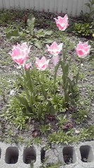 損したような得したような…