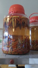 【お題日記】自分の性欲自慢