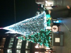 よし今日はこれで