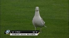 イチローってこんなんだったけ