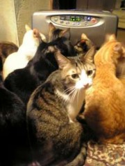 だからまだ寒いんだよ