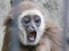 この画像を使って