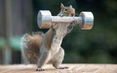 皆さん鍛えてますか？