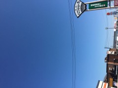 【お題日記】畳とフローリング どっちが好き？