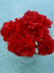 ☆お母さんありがとう☆