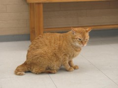 ☆木枯らし一号かな？？☆