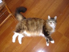 何とか無事に　二日目。。。