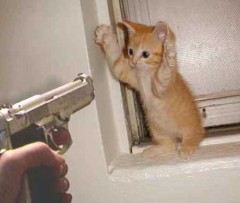 これは！。。猫ってホント　怖い。。