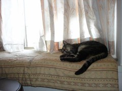 一人って。。早く帰って来い！