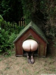 愛犬の日(５月１３日)