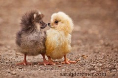 距離感が大切なのだ