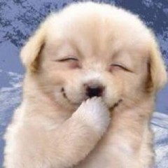 【お題日記】デジカフェをやってて良かったこと