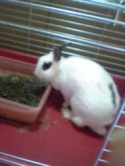 初デジログです♪