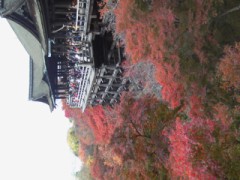 京都に紅葉狩り