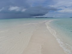 Ｐａｌａｕ通信