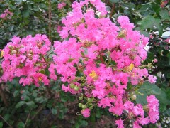 暦の上では・・・・・・