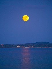 今日はスーパームーン