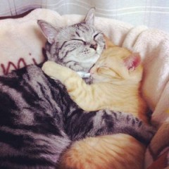 【お題日記】寝る前に必ずやること