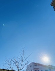 【お題日記】忘れたい経験ある？