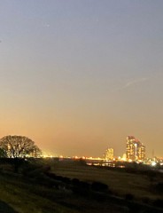 【お題日記】アンダーヘアは整えてる？