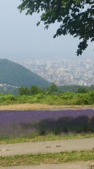 ドルフィンスタイル？