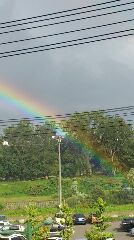 根元には宝物があるらしい。