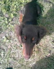 あまかった。。。。