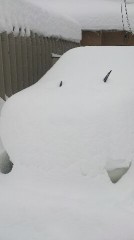 積もったし、あがったし（  ＴДＴ）