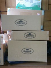 夢の後。。。。