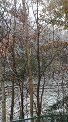 やつらが来たっっ！！