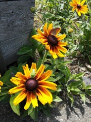 すっごい可愛い！