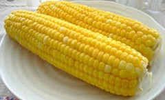 美味しいの進化