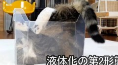 液体化しちゃうのかぁ～