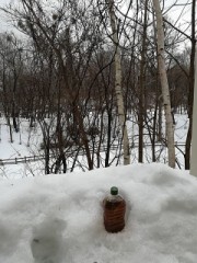 冬限定北国のお茶の冷し方