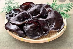 きくらげってさ。。。