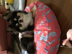 【お題日記】好きな季節は？