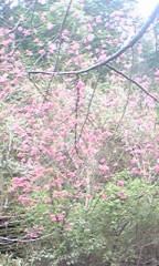 ただいまですm(__)m