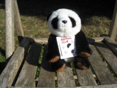 赤ちゃんパンダ・・・