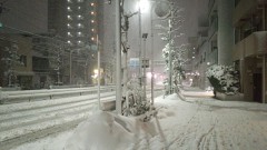 ここは東京か？( ゜ロ゜;ノ) ノ