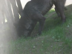 ひきこもり生活