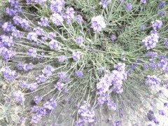 ひきこもり生活２