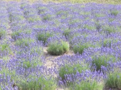 ひきこもり１日目