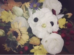 キティフラワー