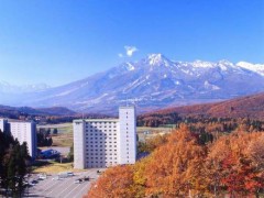 【お題日記】お気に入りのお店♪