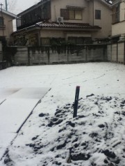 今日は東京に雪が降りました。