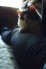 寝かせてくれない。